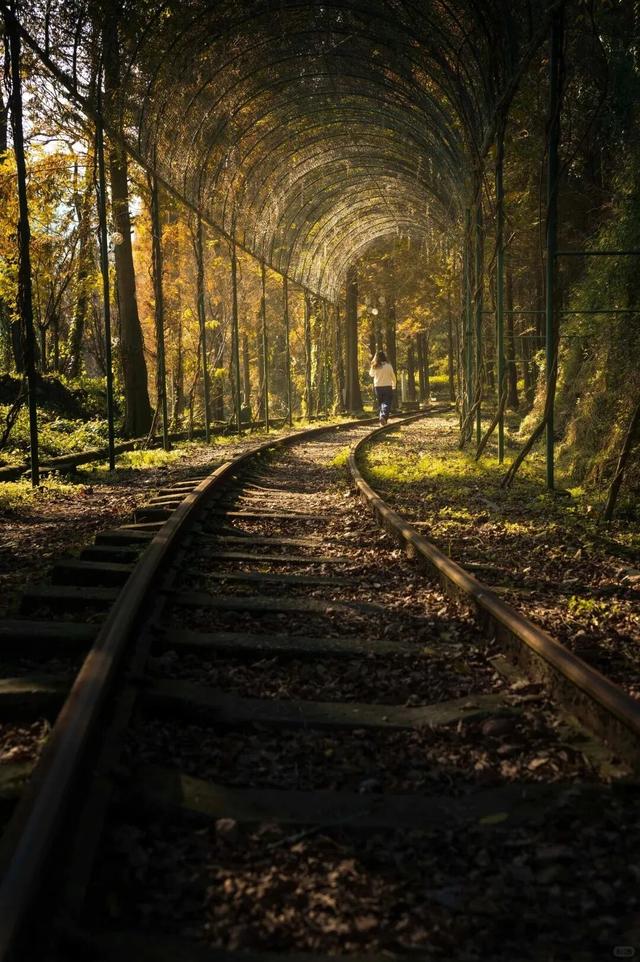 秋天还没过够？那就去乐山留住秋天！