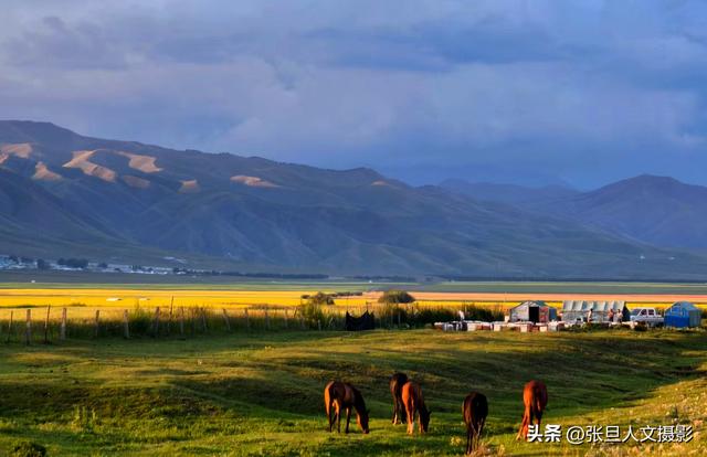 走进大美新疆 伊犁河谷 精美绝伦的景色大饱眼福 张旦 点评作品