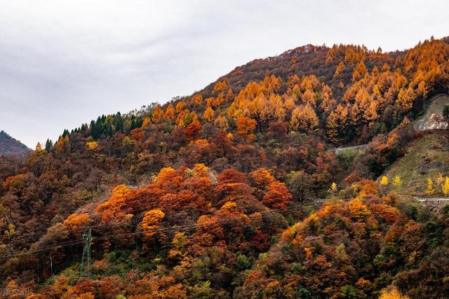 10月下旬-11月中旬，适合去的8个赏秋宝地，彩林繁茂，秋色正盛