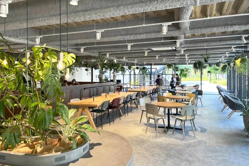 请输入图片描述 请输入图片描述