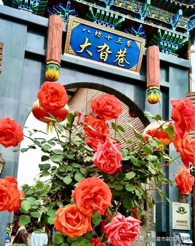 临夏市：一座把“浪漫”写进马路牙子的城市