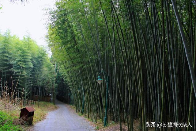 竹海深幽处：大洞游记