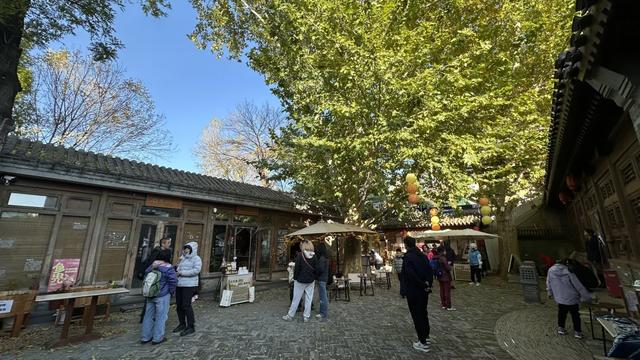 更年期小阿姨的胡同漫游