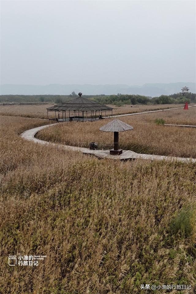 陕西秋冬自驾，浪漫天花板！一路风景一路惊喜！周末去浪