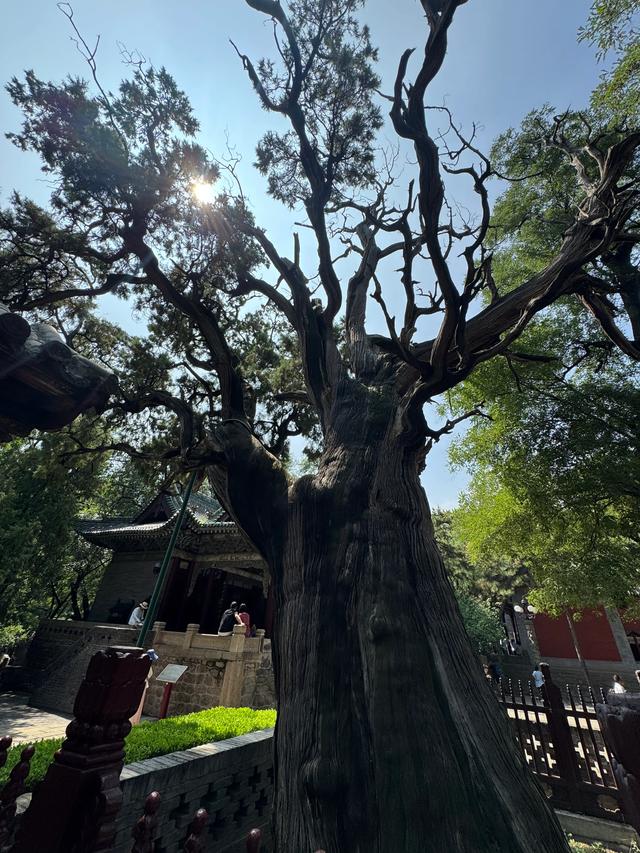 我为什么喜欢旅游