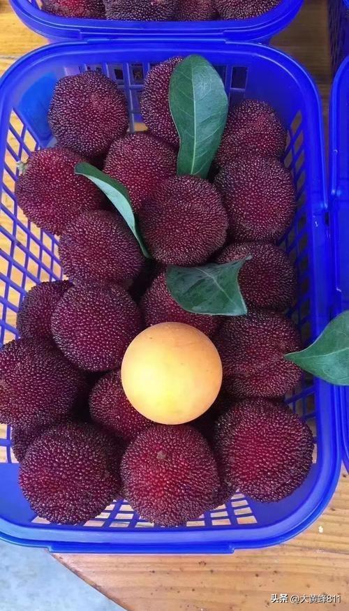 认识大美浙江的每个县——第26波：仙居