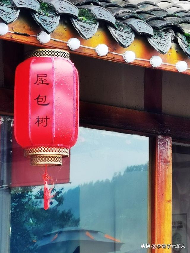 烟雨后柳