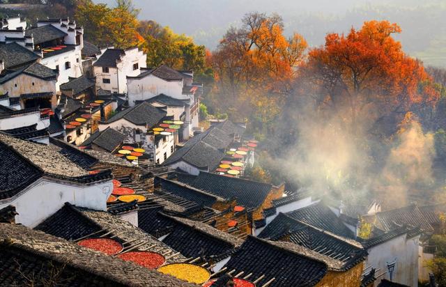 踏迹寻旅：探秘最美符号的诗意之旅上饶婺源