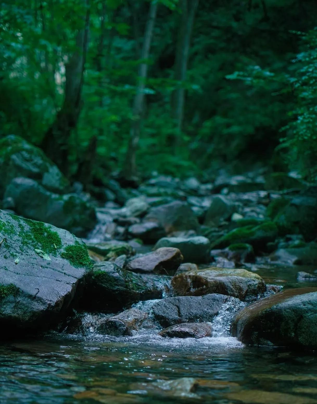太平峪西寺溝避暑山莊_西安度假山莊_秦嶺南山溫泉度假山莊