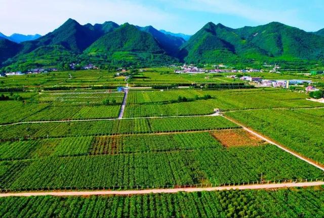全省推介！杨凌金秋采摘休闲游入选
