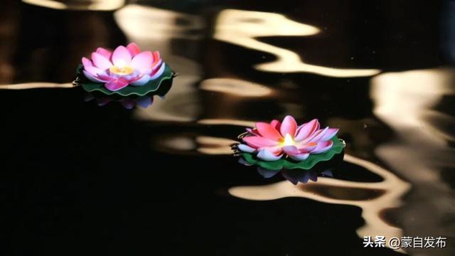 红河州，太嗨了！