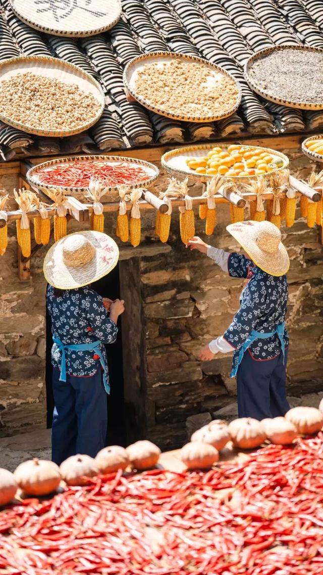 黄陂这些点位出片率绝了!