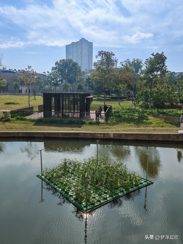 生物浮岛扮靓云梦水域 初冬亲水空间引客来