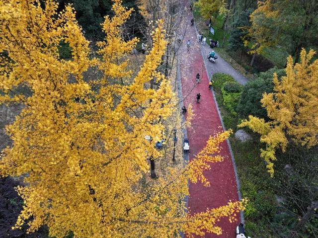 周末，和桐梓来场约会~