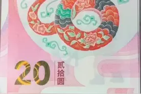 蛇钞各种趣味号图片
