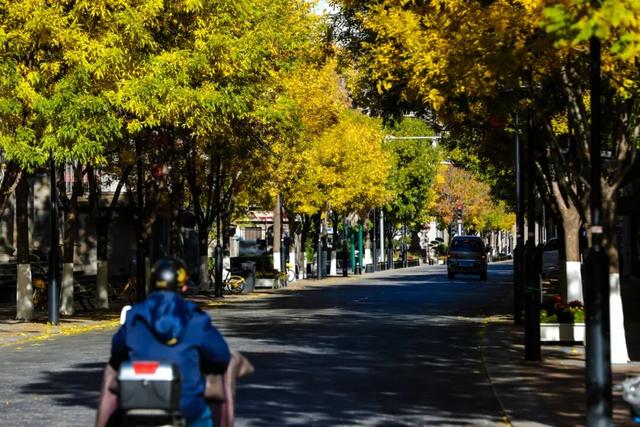多图沉浸式感受和平秋韵