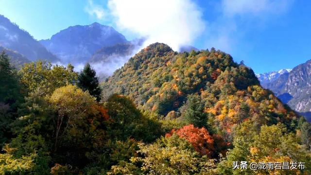 官鹅秋韵：在层林尽染中遇见“秋水天长”