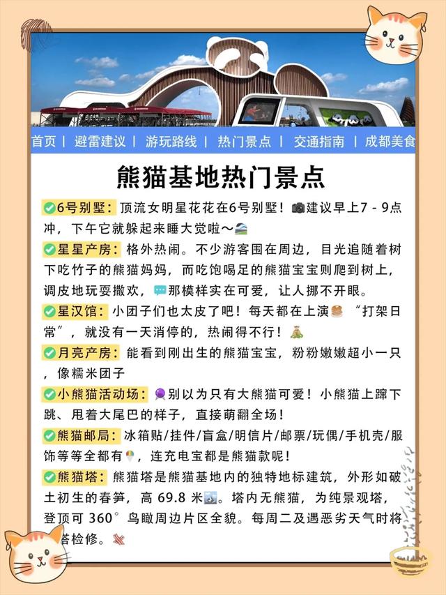 干货成都熊猫基地避坑秘籍一篇说清超全攻略