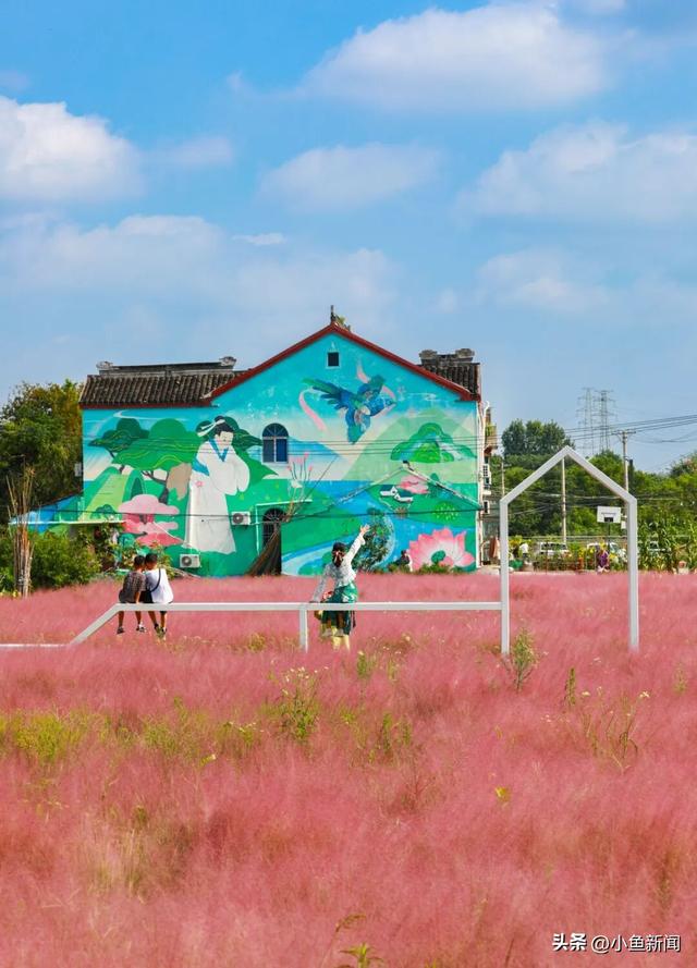 美爆了！苏州秋日大片，上新了！