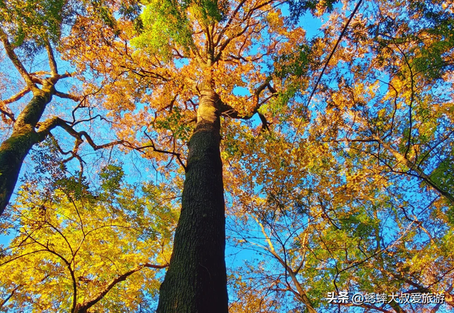 与灵隐寺“同龄”的千年古刹，秋冬不但色彩斑斓，更具古雅与佛韵