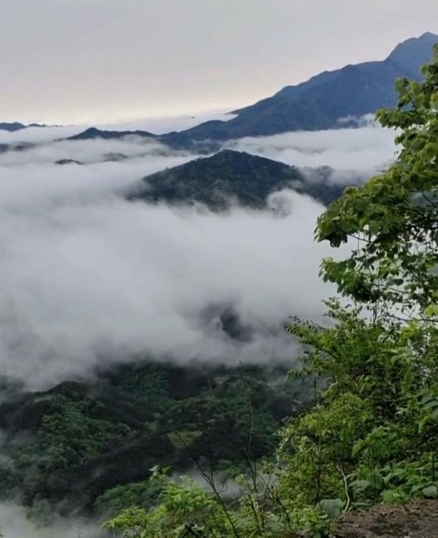 牛蹄岭雾中寻梦-陕西安康红色旅游一