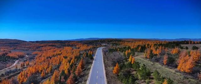 进度已达90%！呼和浩特进入全盛期！最近每天都不一样，呼市人抓紧出门
