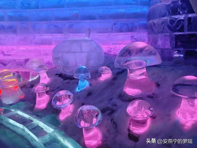 哈尔滨之行