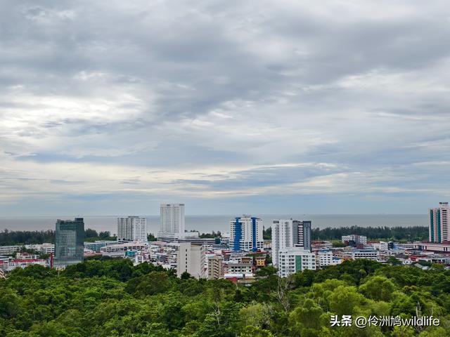 马来西亚(33)砂拉越州⑦美里市加拿大山、海滨公园等