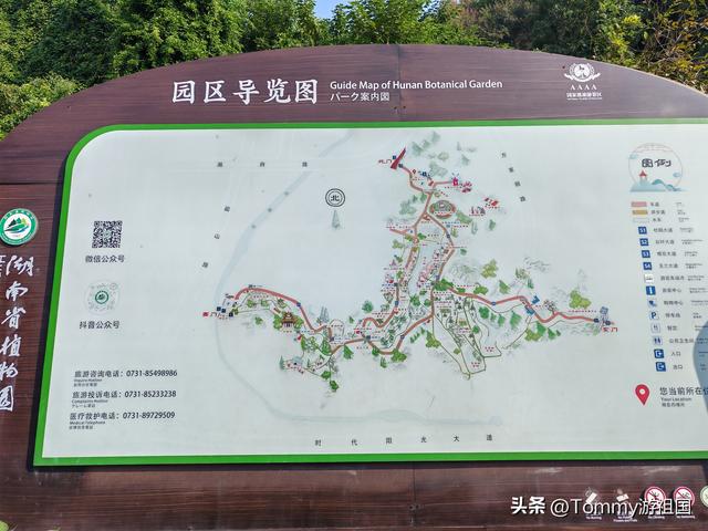 开着房车去流浪：打卡湖南省植物园