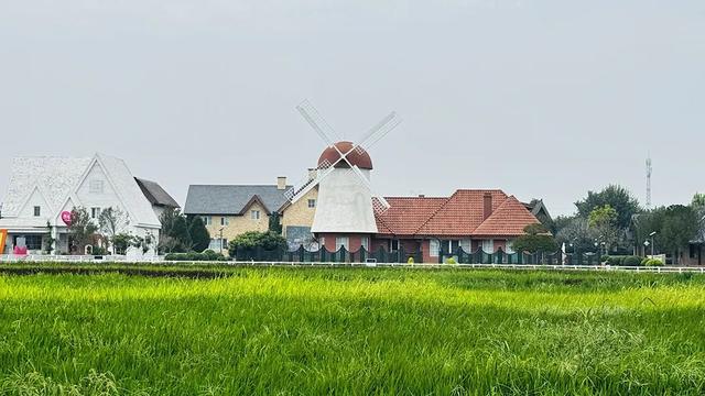 “跟着影视去旅行”，临沂文旅走起