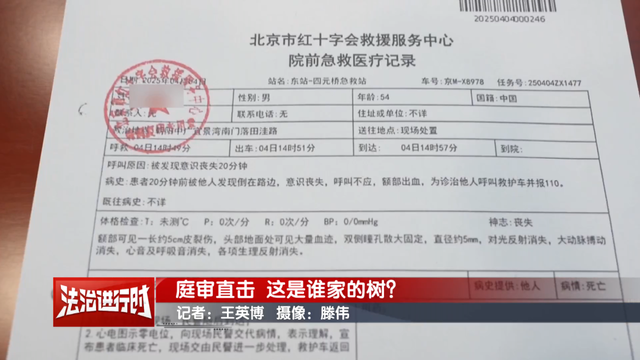 北京一男子被大树砸中当场身亡！相关三家公司均拒绝赔偿	，律师：不能完全免除公司责任