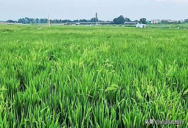 成都三元地铁又上新风景，超级惊艳，不要门票，地铁直达！