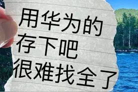 华为拍照调成这样，真的像单反！图片