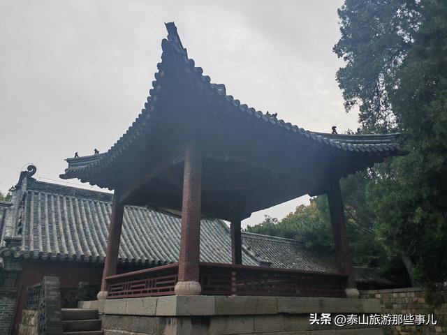 泰安：又是一年重阳时！带家中老人去哪儿走走？推荐一个免费景点