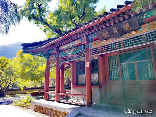 以我4次经历，带你打卡北京香山，北京的朋友请补充