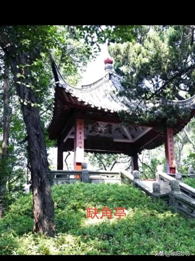 万万没想到上海的古猗园是这样的