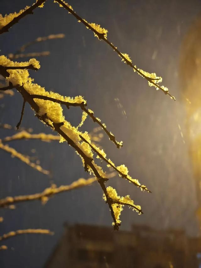 终于等到你！第一波济宁雪景大片来了！