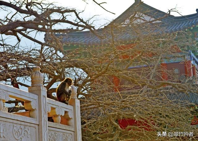 江苏12大5A景区终极考验！去过3个算入门，全去过的是真“大神”