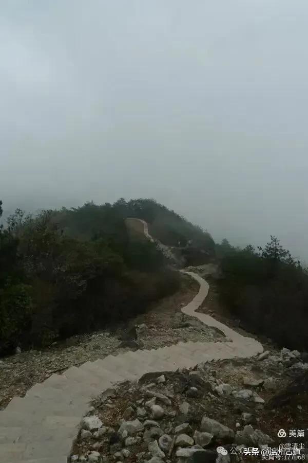 远上乌岩岭上斜,白云生处白云尖!温州这处秋日美景值得一去!