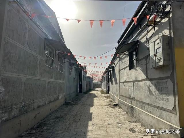 冠县乡韵·辛集镇饮马庄