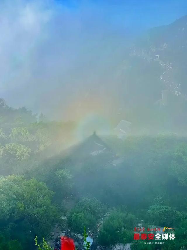 清晨的泰山集齐“日出+云海+宝光”！ 17℃风吹来像开了天然空调