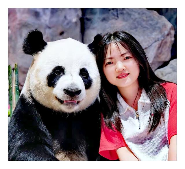 去东北黑龙江哈尔滨，别忘了去太阳岛看看国宝。