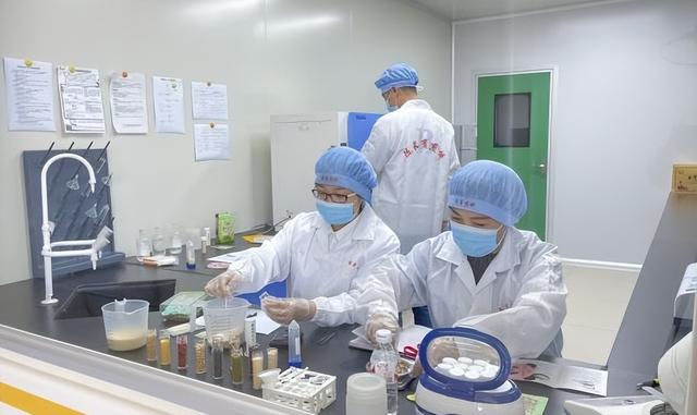 在敦化长有食品工业旅游园区，亲手解锁非遗煎饼的奥秘！