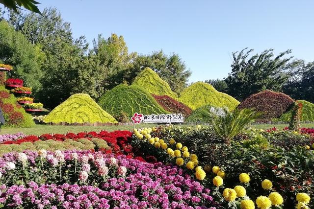 北京顺义国际鲜花港 梦幻的花海秘境