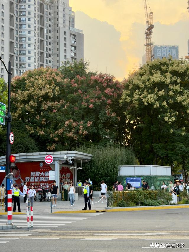 中秋逛豫园，月满人团圆