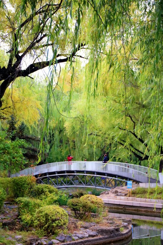 进度已达90%！呼和浩特进入全盛期！最近每天都不一样，呼市人抓紧出门