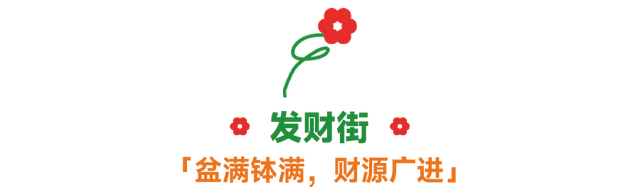 “马”上逛花街！珠海20年老花市焕新登场，新春打卡攻略速收！