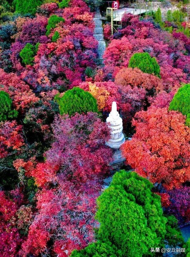 尽收山间好秋色！潍坊登山地图来啦~