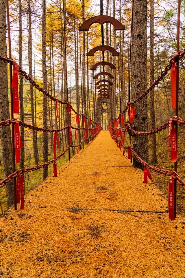 赏秋正当时！自驾来汉中，赴一场秋日视觉盛宴~