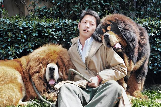 曾风靡全国的“骗局”，却被捧上神坛炒到千万！如今白菜价没人要
